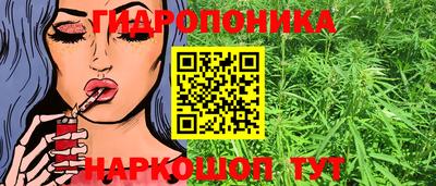 соль ск Гагарин