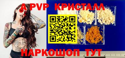 спайс Гай