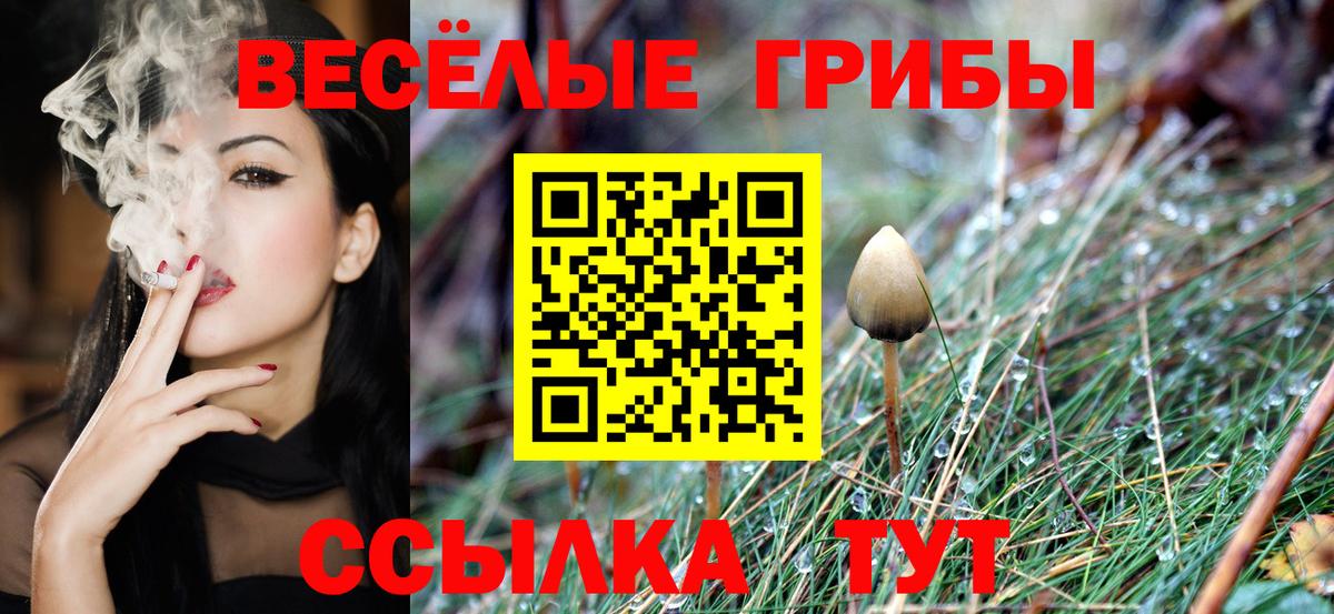 Галлюциногенные грибы прущие грибы  Вход с VPN  Псилоцибиновые грибы Psilocybe  Волжский 
